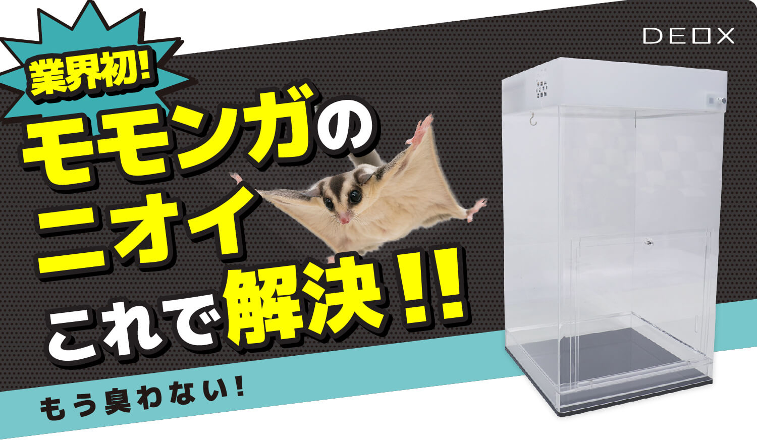 モモンガのニオイ これで解決！