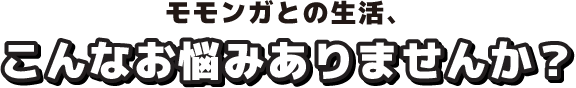 モモンガとの生活、こんなお悩みありませんか？